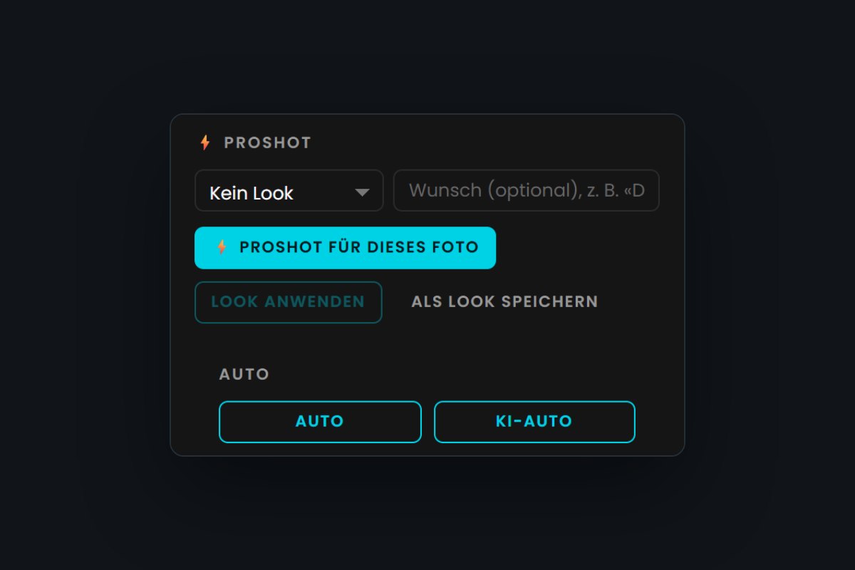 Bereich ⚡ Proshot im Editor von Proshot Studio mit dem Knopf «Proshot für dieses Foto» und einem Wunschfeld